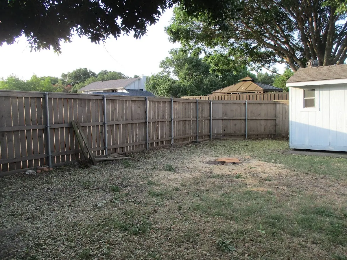 Cleared yard after professional tree removal in Evergreen